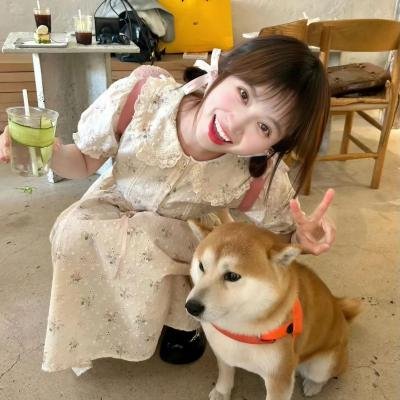 光影流情